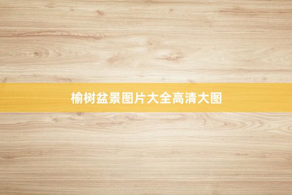 榆树盆景图片大全高清大图