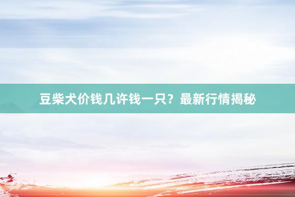 豆柴犬价钱几许钱一只？最新行情揭秘